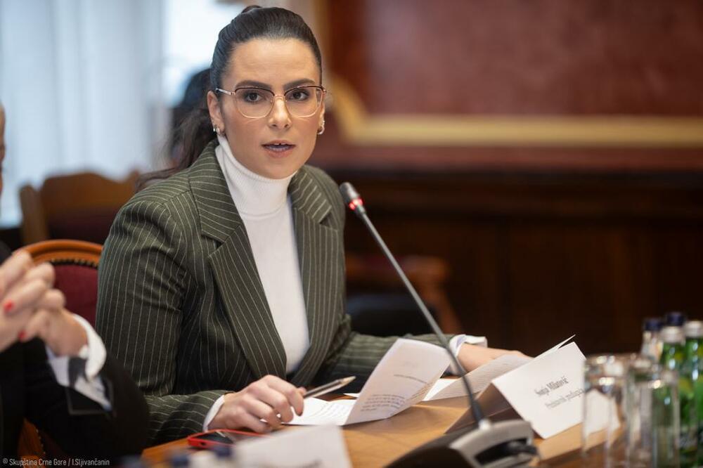 Popović: Rukovodioce državnih energetskih kompanija povećanje cijena ne pogađa, Šahmanović otkrio koliko zarađuju