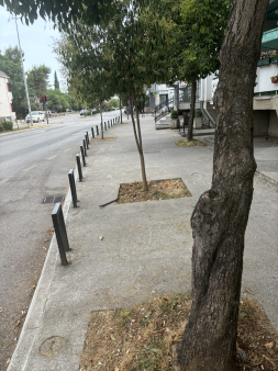 Poslovni prostor Preko Morace