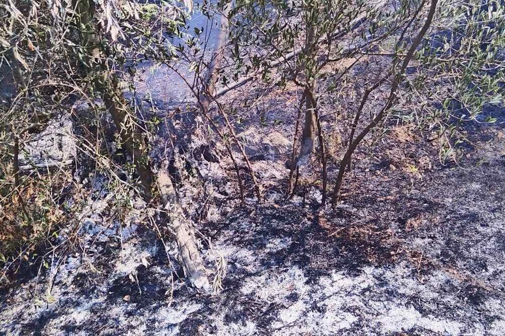 Požari na više lokacija u Podgorici aktivni, najkritičnije i dalje u Piperima