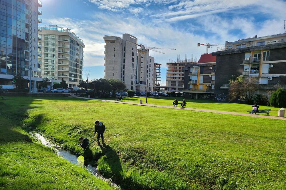 Preuzmite parcelu dok ne nikne soliter: Građani Budve traže da Opština spasi jedinu zelenu površinu u centru