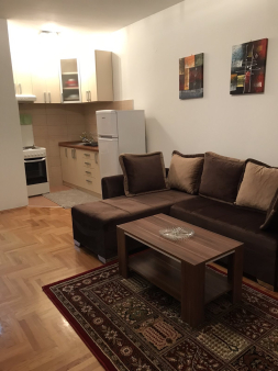 Prodaje se garsonjera na Pobrežju, 34m2.  Nalazi se na 5 -tom spratu od 9, u zgradi koja ima dva lif