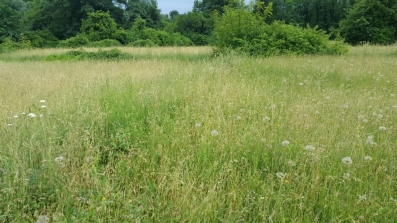 Prodaje se imanje 9000 m2