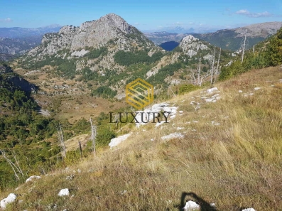 Prodaje se 750 000m2 zemljista u Kuče