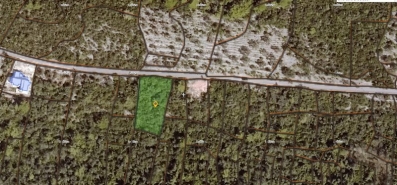 Prodaje se neurbanizovan plac, površine 1200m2 u mjestu Luštica u Herceg Novom.