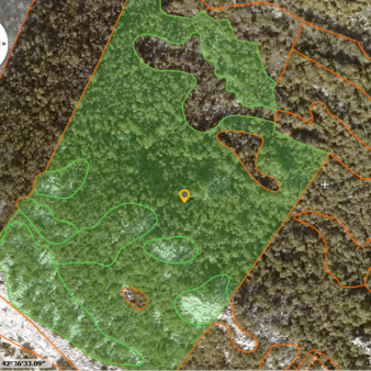 Prodaje se plac površine 91063 m2!