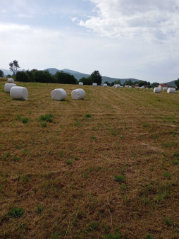 Prodajem plac u Nikšiću