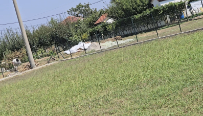 Prodajem plac Zeta, Golubovci blizu Rostiljade