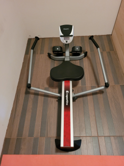 Prodajem sobno veslo