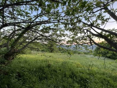 Prodajem zemljište 10000 kvadrata u Pipere- Donji Crnci, Voda i struja 067106577