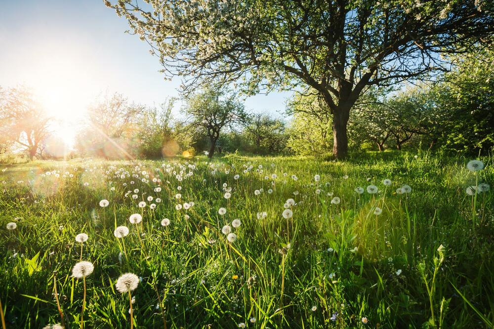 Proljeće počinje danas u 15 časova i 46 minuta