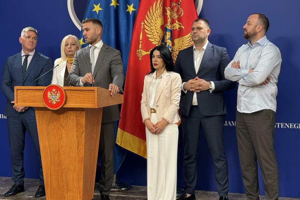 Rakočević: Solar gradnja ogledni primjer sistemske korupcije i partijskog zapošljavanja