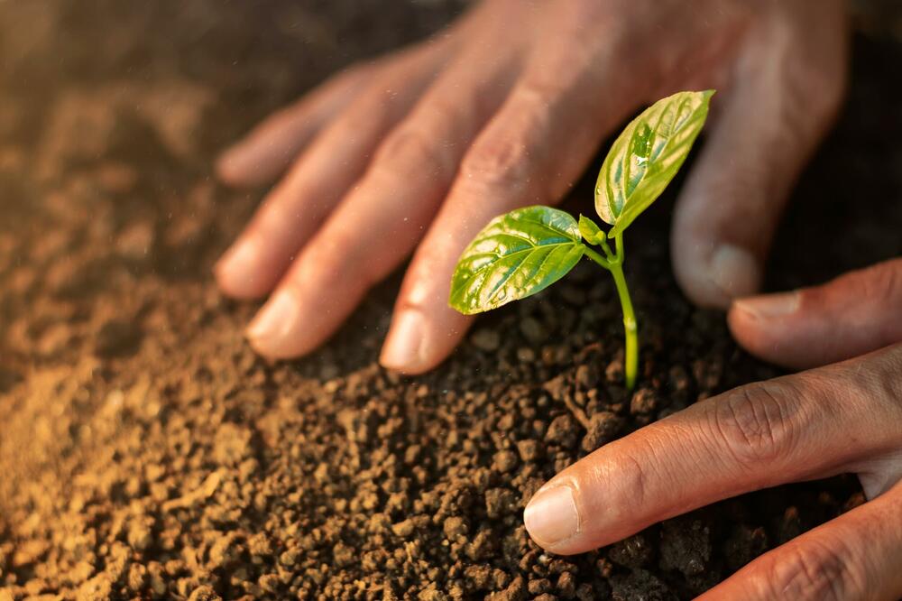 Raskrinkavanje.me: Lažne klimatske priče bez granica - regionalna anatomija dezinformacija