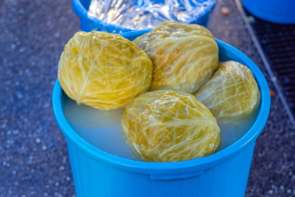 Rasol &ndash; koristi i mogući rizici konzumiranja