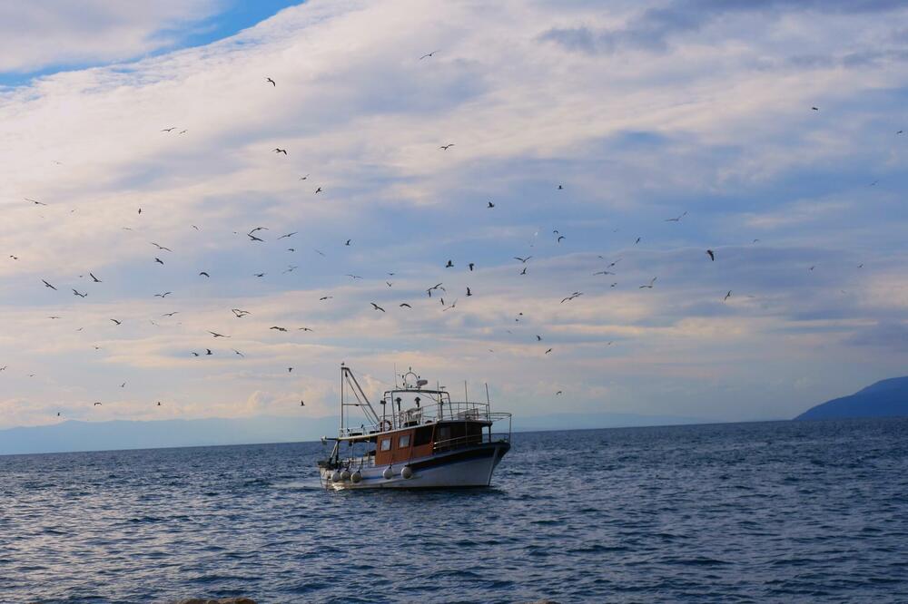 Ribari razmatraju da vrate dozvole, najavljuju proteste jer Ministarstvo nije riješilo njihove probleme