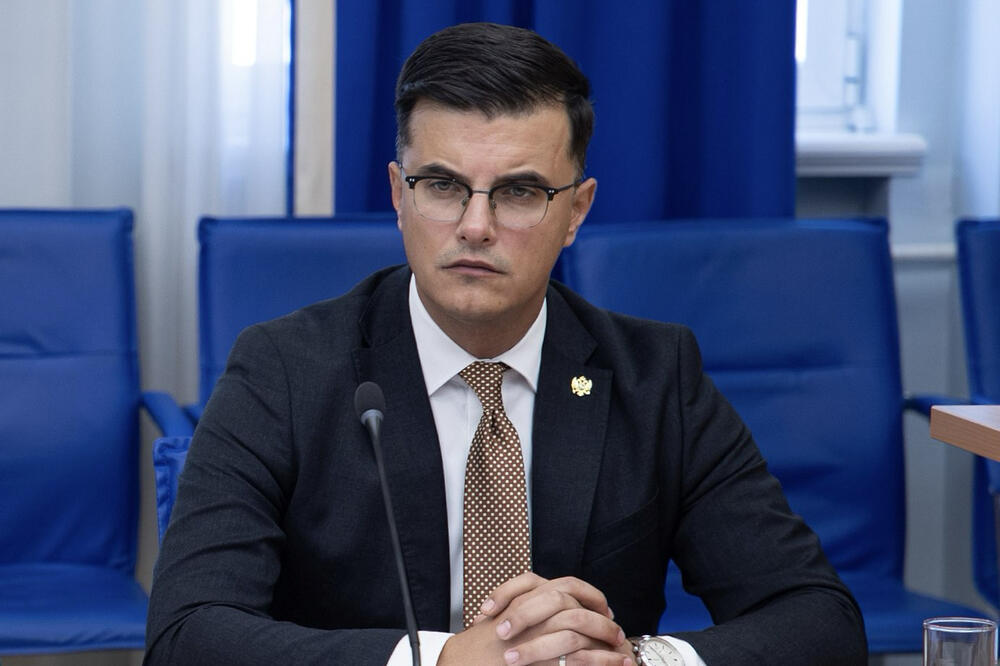 Šaranović: Država snažno odgovorila organizovanom kriminalu