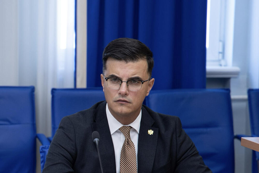 Šaranović: Uvodimo sistem video nadzora u Herceg Novom