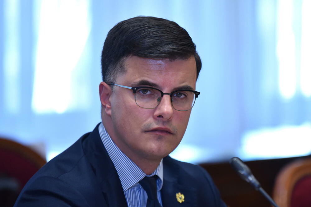 Šaranović: Zakon može biti usvojen, uz obavezu usklađivanja dijela koji se tiče zaštite podataka