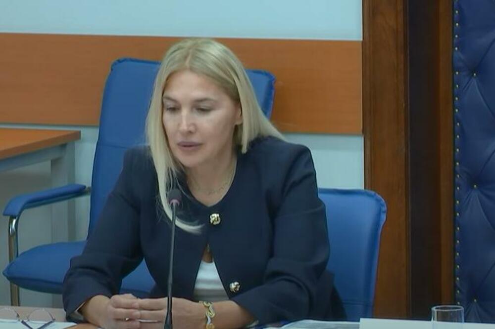 Saslušanje za Fiskalni savjet: Martinović kaže da neće podleći pristicima, Vukićević povukao kandidaturu