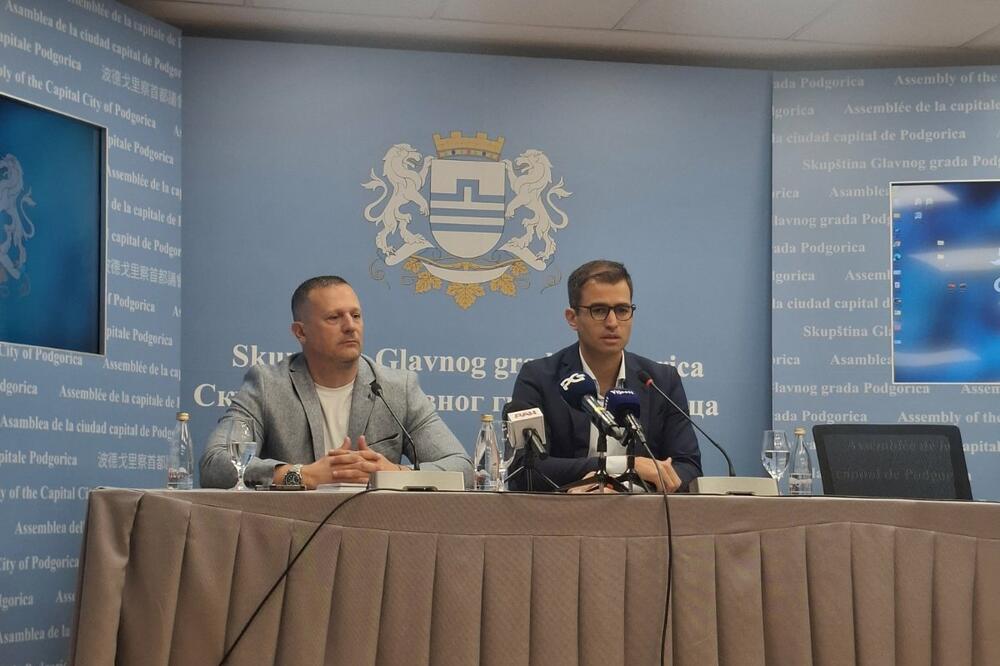 SEP: Očekujemo podršku DNP-a za smjenu Jelene Borovinić Bojović