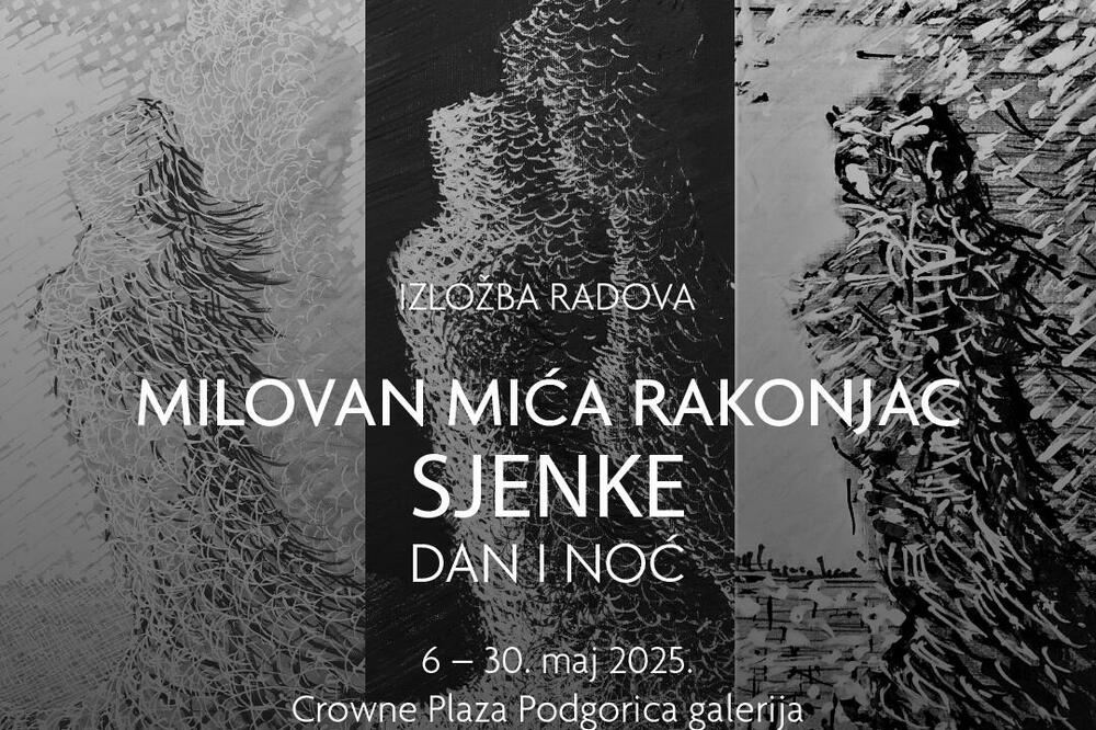 "Sjenke" Milovana Rakonjca u galeriji Crowne Plaze