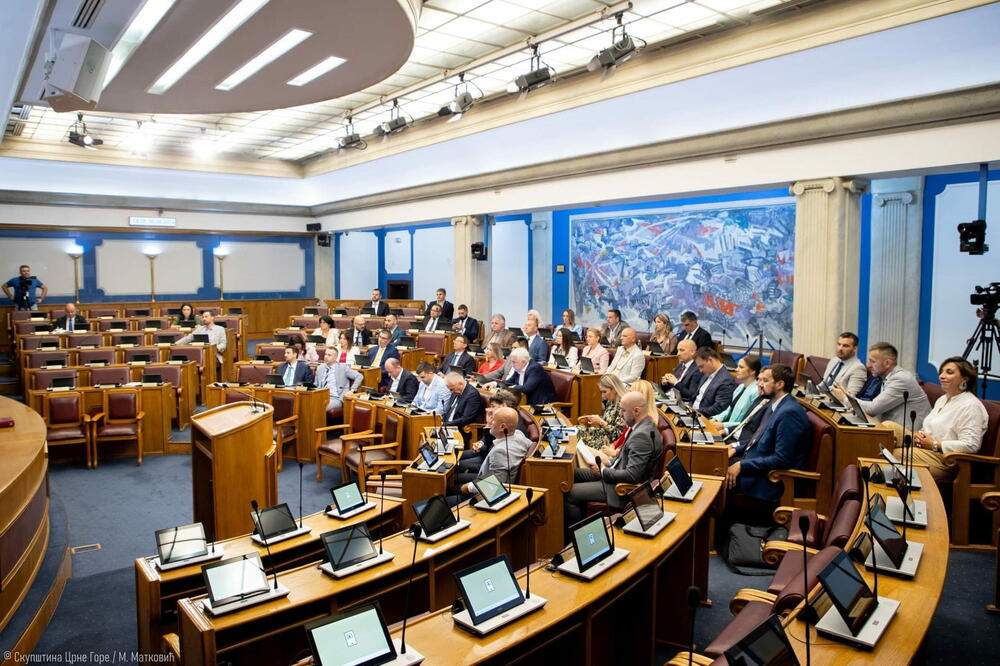 Skupština opet usvojila izmjene Zakona o inspekcijskom nadzoru