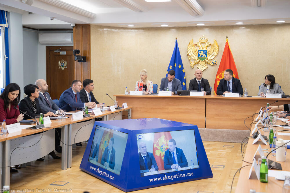 Skupština pala na kontrolnom: Politika ograničila nadzornu ulogu parlamenta