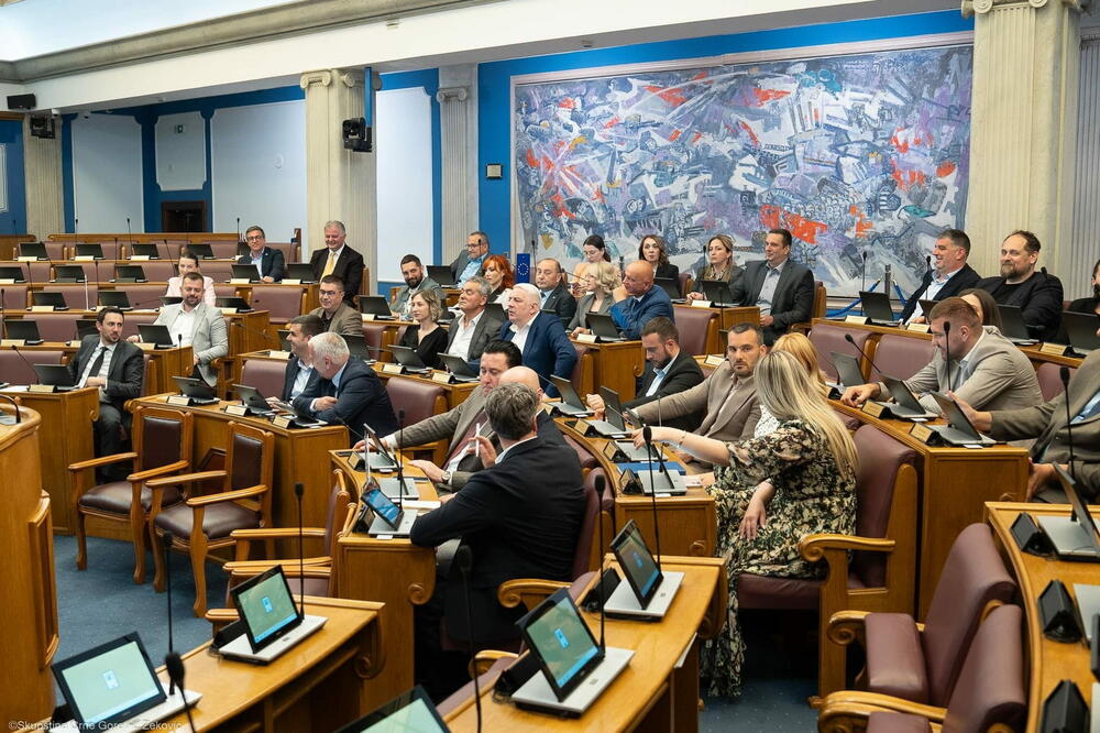 Skupština usvojila izmjene i dopunu Zakona o Ustavnom sudu