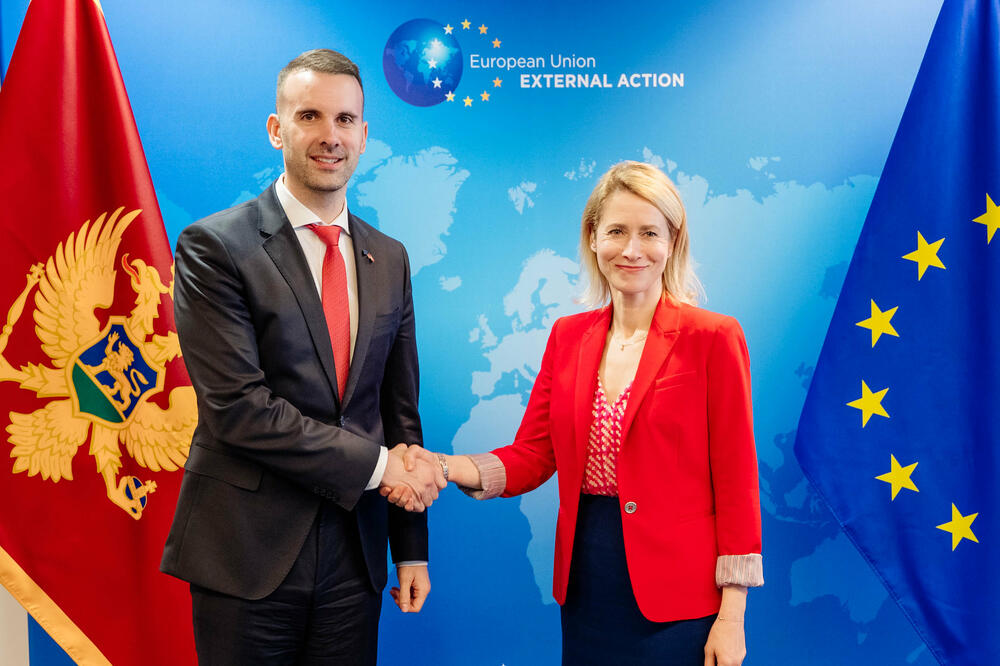 Spajić: Pohvaljeni napori Crne Gore u brzim reformama i usklađivanju javnih politika sa EU standardima