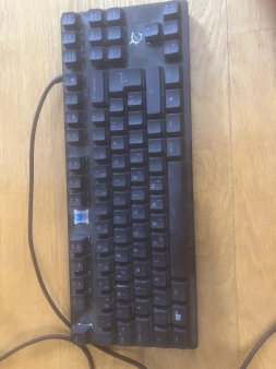 spartan testatuta white shark blue switches