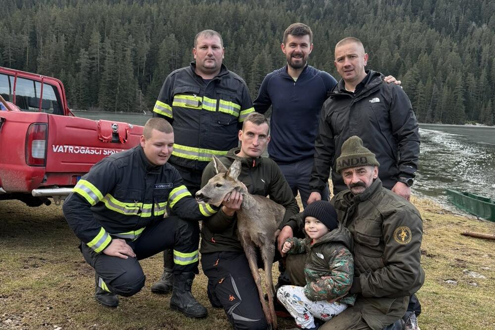 Spasili srnu koja je bila zarobljena na zaleđenom Zminičkom jezeru