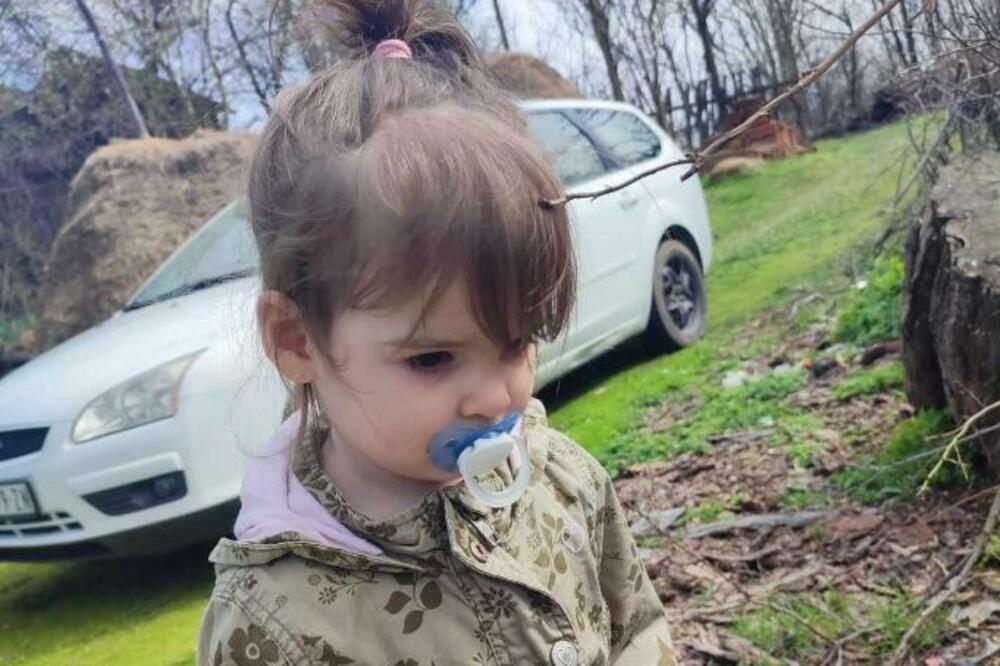 Srbija: Ponovo podignuta optužnica za ubistvo Danke Ilić