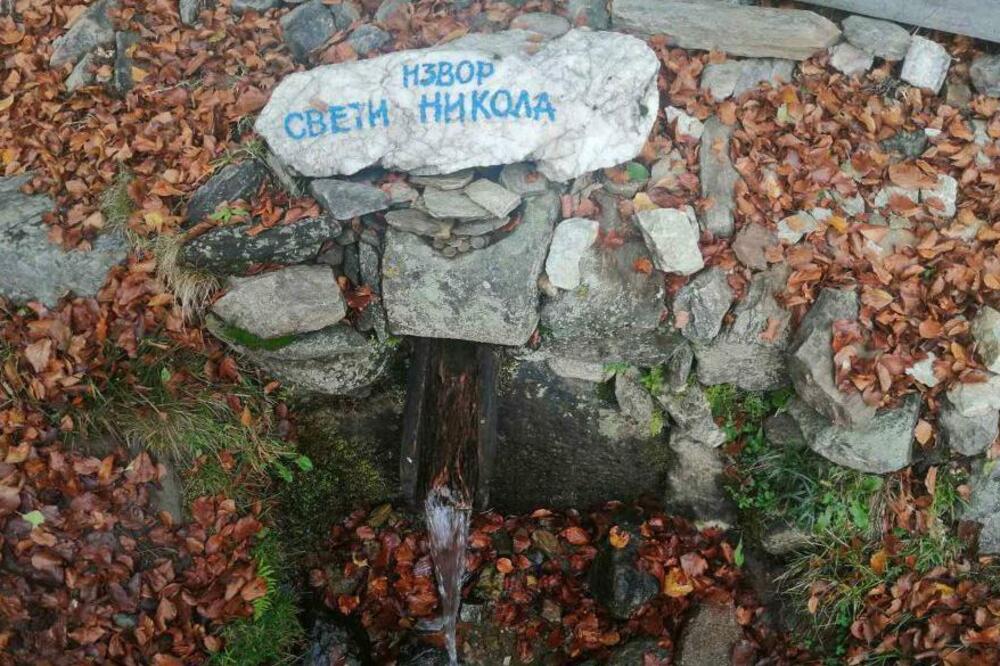 Šta nam govori otkriće izuzetno rijetke alge Srbiji