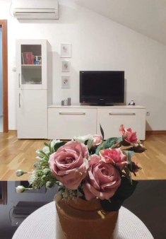 Stan u Momišiće