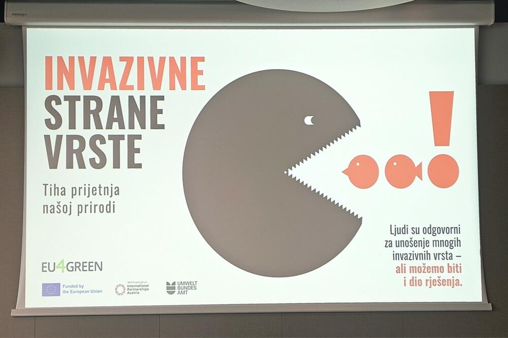 Šteta za prirodu, zdravlje, ekonomiju: Crna Gora ove godine počinje monitoring invazivnih vrsta