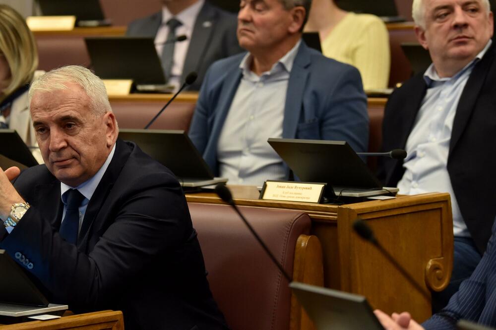Šume, pašnjaci i državni poslovi: Imovinski kartoni poslanika Nove srpske demokratije