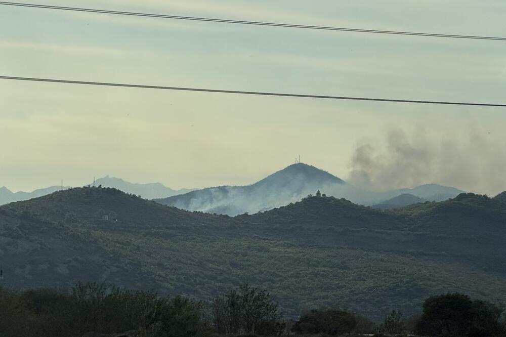Šumski požar u Lješanskoj nahiji, vatra ne prijeti kućama