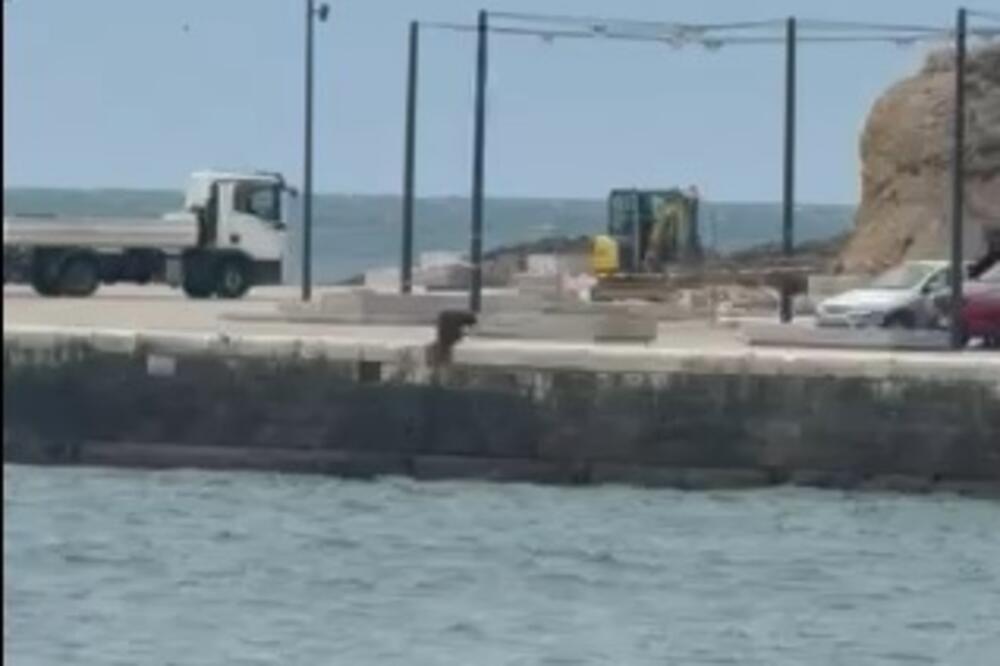 Tender vrijedan oko dva mililona eura u završoj fazi: U fokusu Velika skela i šetalište do Rta Đerane