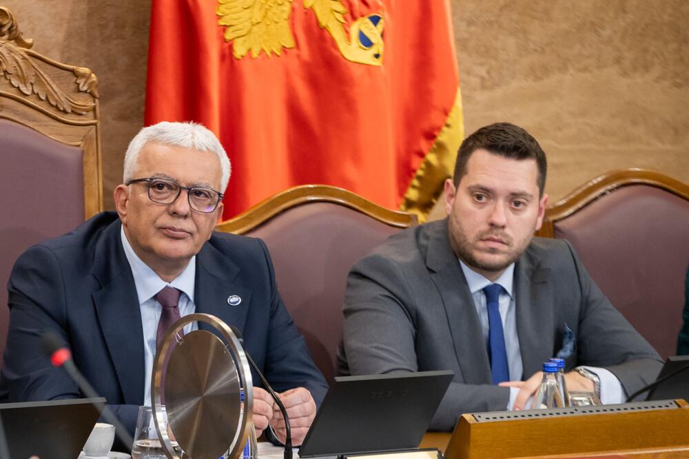 Traže pomoćnika Stanišiću, kurire-vozače, savjetnike: Parlament popunjava mjesta po sistematizaciji