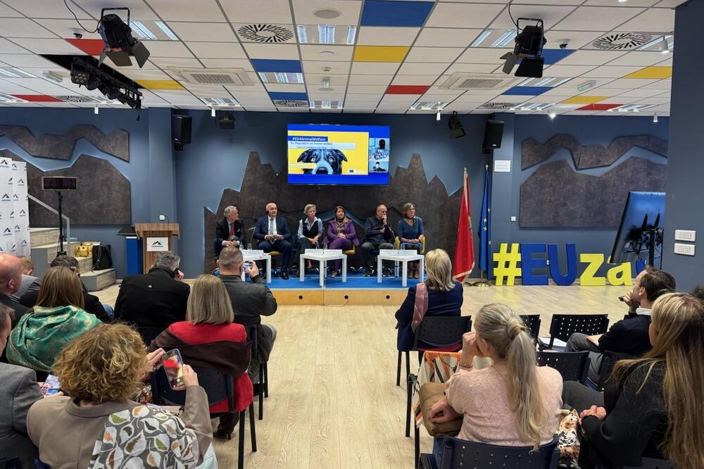 Turisti s ljubimcima zaobilaze Crnu Goru