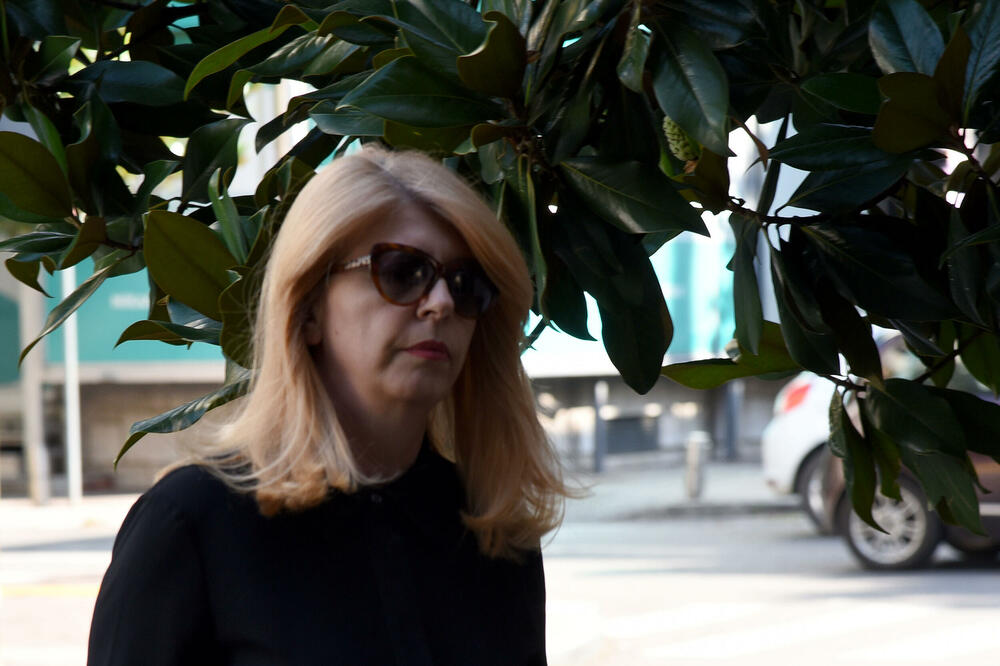 UP: Mitrović nije bila predmet obaveze postupanja policajaca do momenta izdavanja naloga za prinudno dovođenje