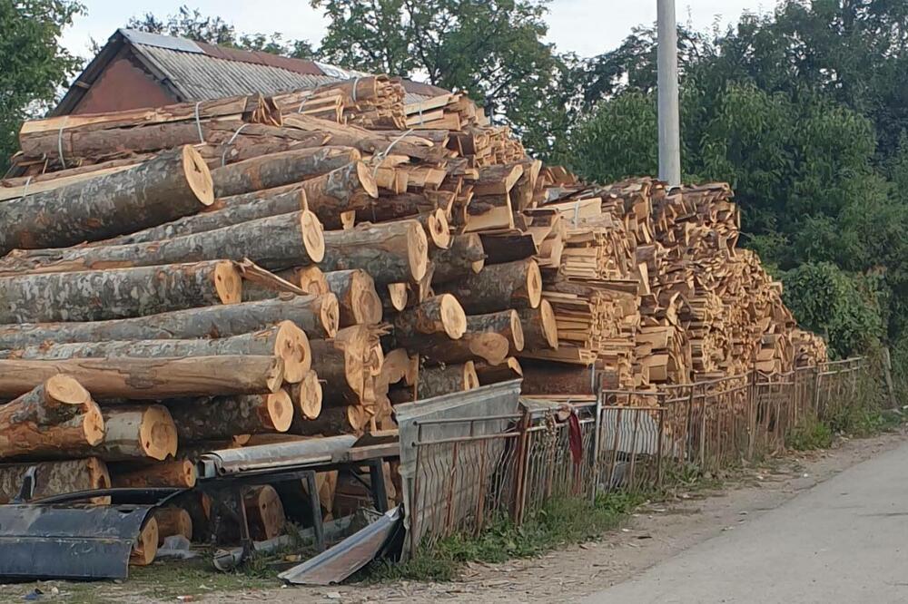 Ustavni sud odlučuje o zakonitosti Javnog poziva za prodaju drveta u dubećem stanju