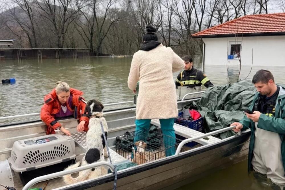 Velika šteta za privatni azil od poplava, spašene sve životinje
