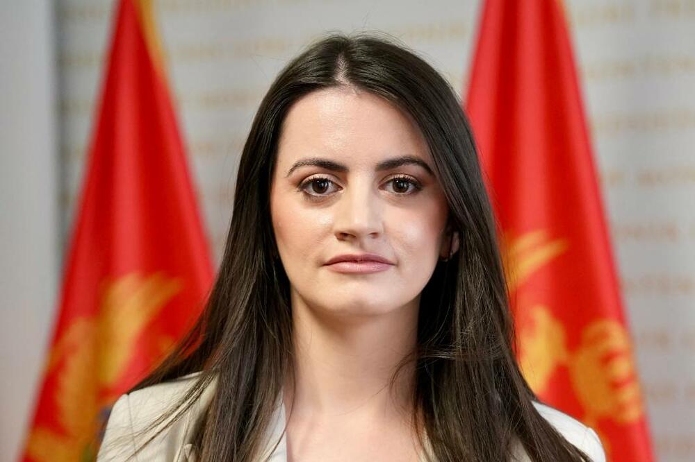 Vesković: Parlamentarne izbroe raspisuje predsjednik, ne moraju biti istog dana kad i lokalni