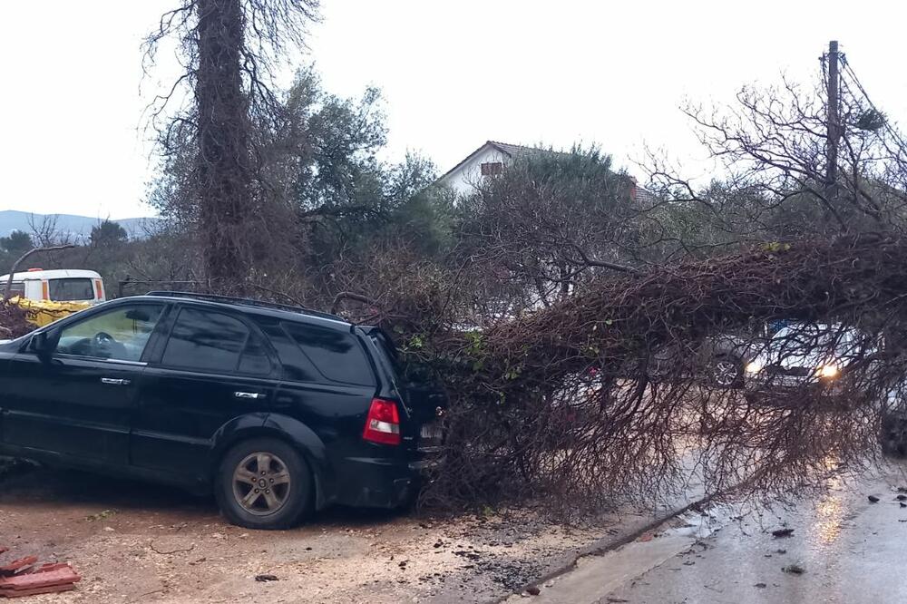 Vjetar u tivatskom naselju napravio haos: Srušena stabla, uništeni krovovi i vozila