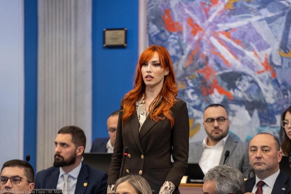 Vojinović: Vijest da se Milović i Mišurović dovode u vezu sa postavljanjem bombi uznemirujuća, poražavajuća, sramotna...