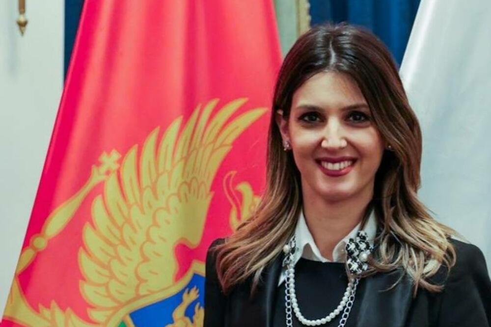 Vukajlović: Smanjenje akciza moglo bi sniziti cijenu goriva za 27 centi po litru