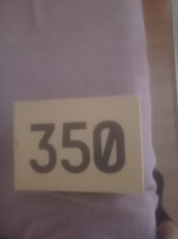 Yezzy 350