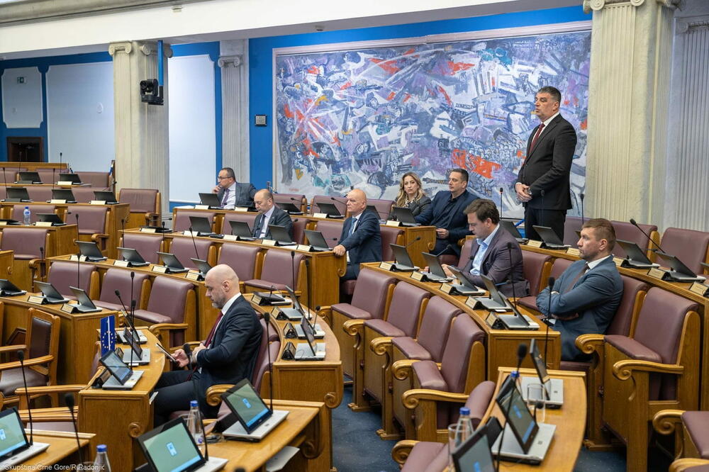 Završen pretres o izmjenama Zakona o šumama: Odgovornost za probleme traže vlast i opozicija