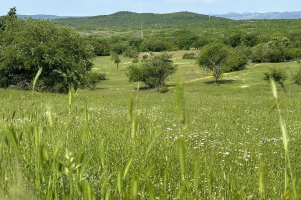 Zelena dozvola za elektranu &ldquo;Vraćenovići&rdquo;: Investitor dobio saglasnost za izgradnju 192.000 solarnih panela kod Nikšića