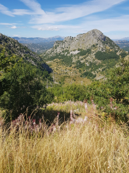 Zemjište, 725000m2, Kuči, Podgorica, Prodaja